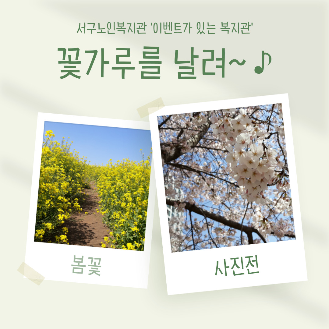 �̺�Ʈ�� �ִ� ������ ���ɰ��縦 ����~�ܡ� ī�崺��