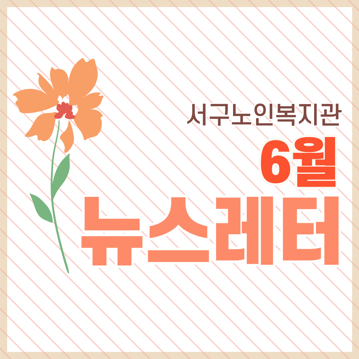 6�� ��������