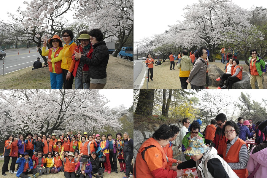 2016�� ���� ��������