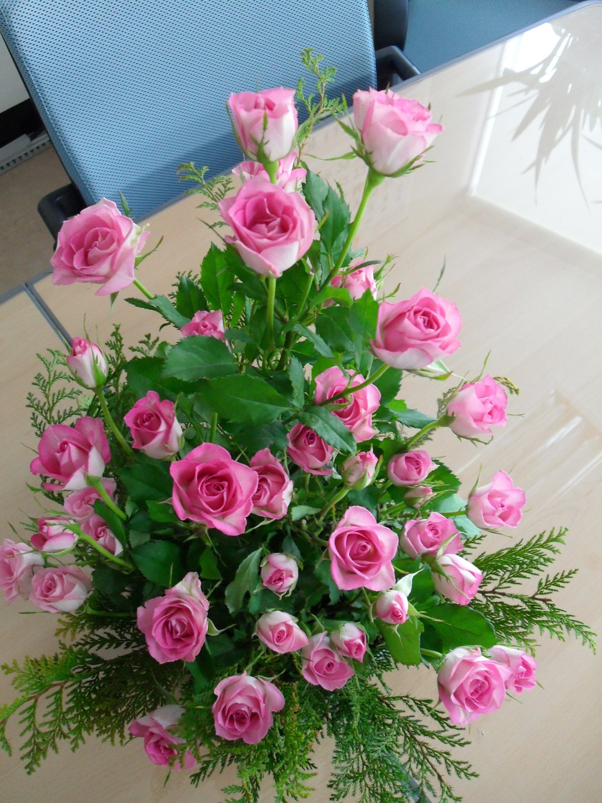 �ɲ��̺���