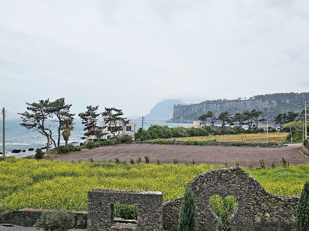 ��ũ�� 3�� <����>