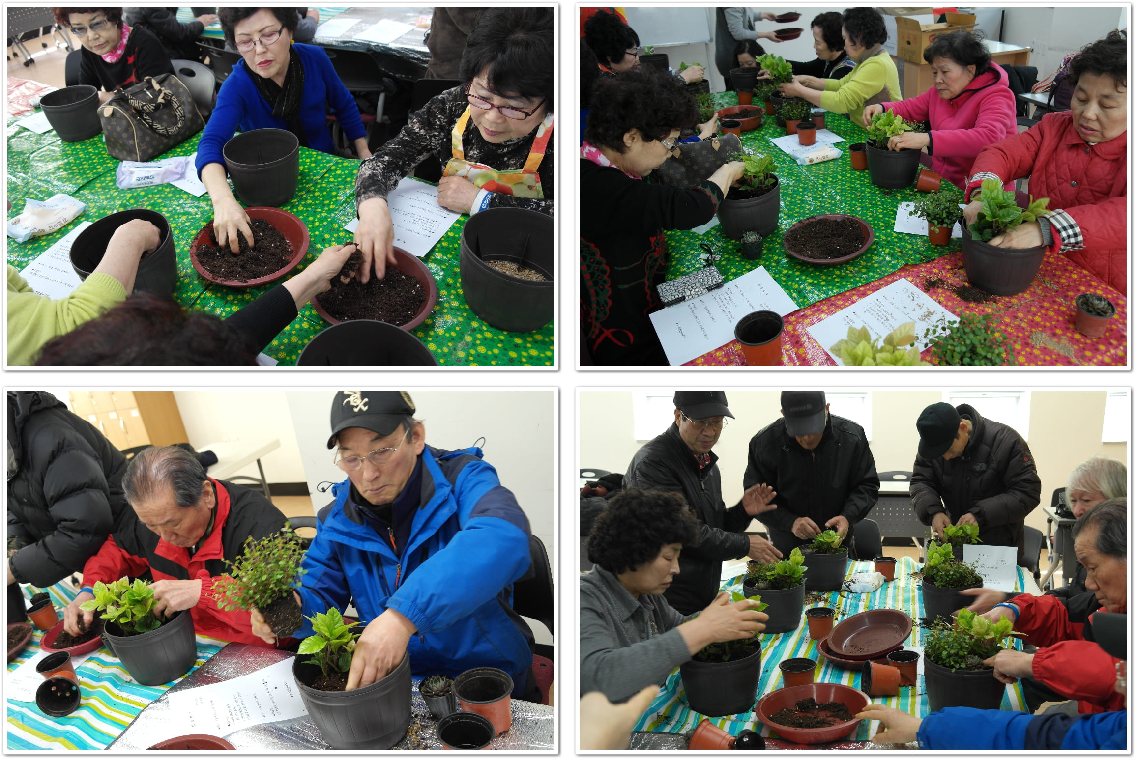 2원예3.5.jpg