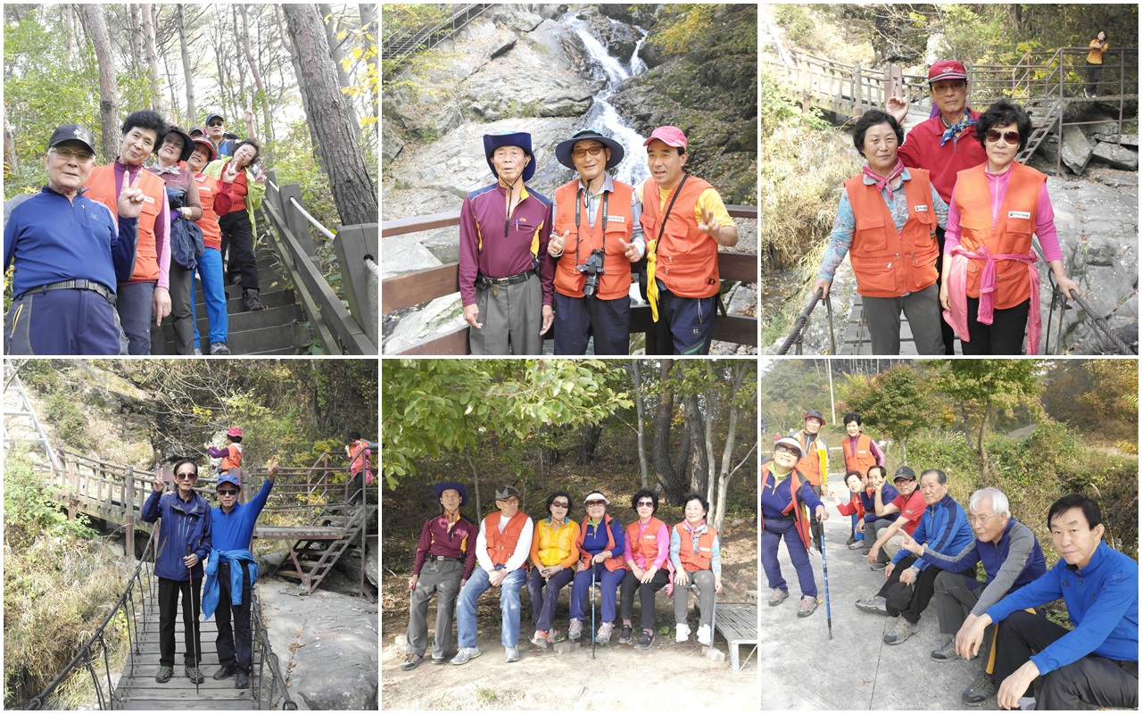 2015�� ���� ���������� ����