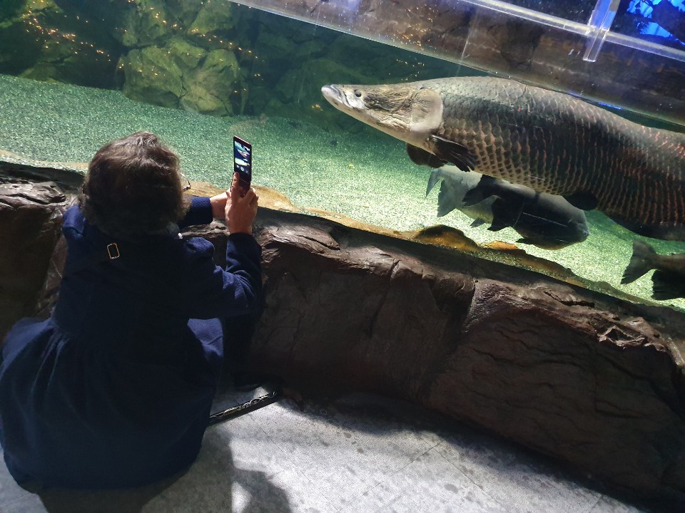 �簡���� �̿��� �����Ƹ��� �湮