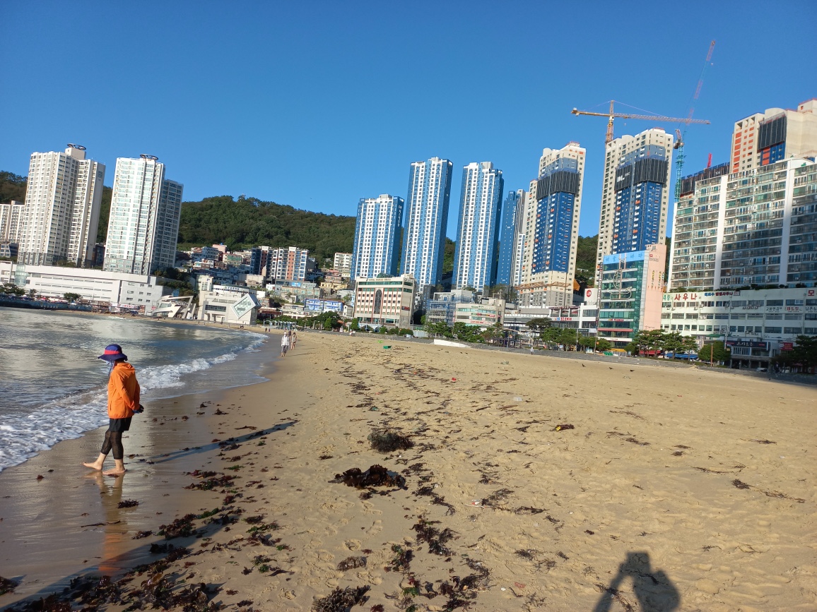 2023�� �������ڸ� �ǹ��ٴٻ�� ����� �۵� ȯ������