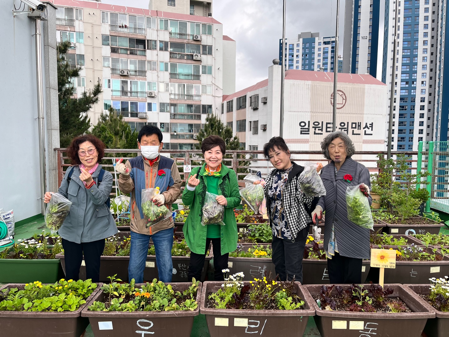 �����ĸ��� ����Ȱ��