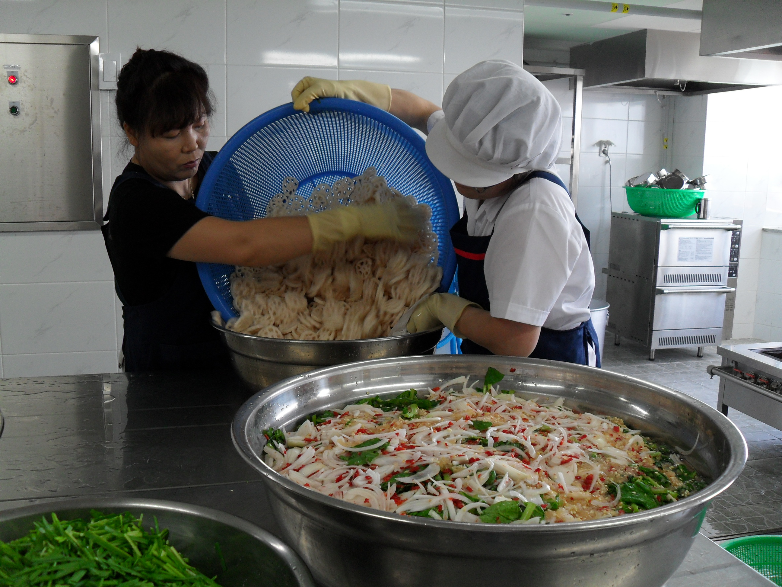 �ع��� ��޻��- ��������Ȱ��