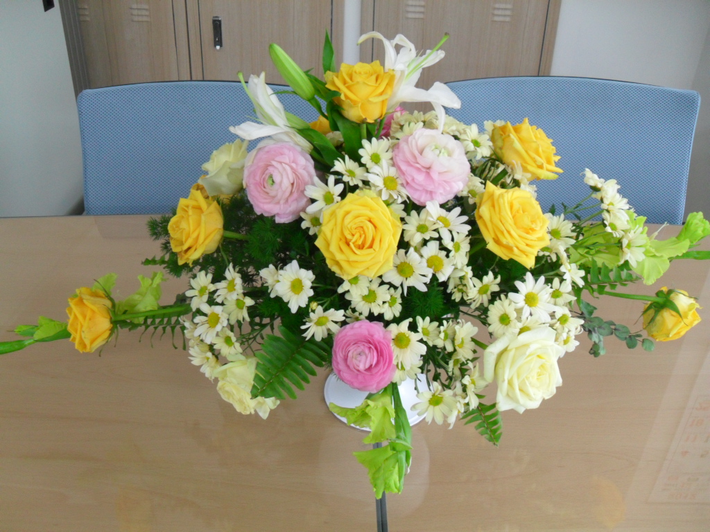 �ɲ��̺���