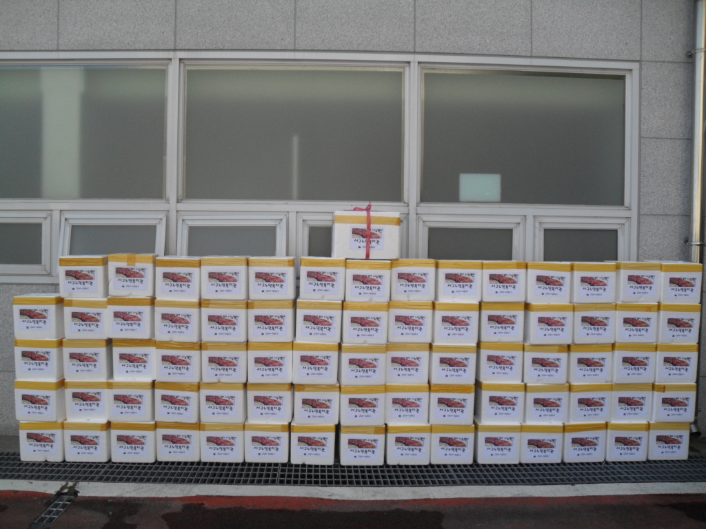 ����� �����ġ ����