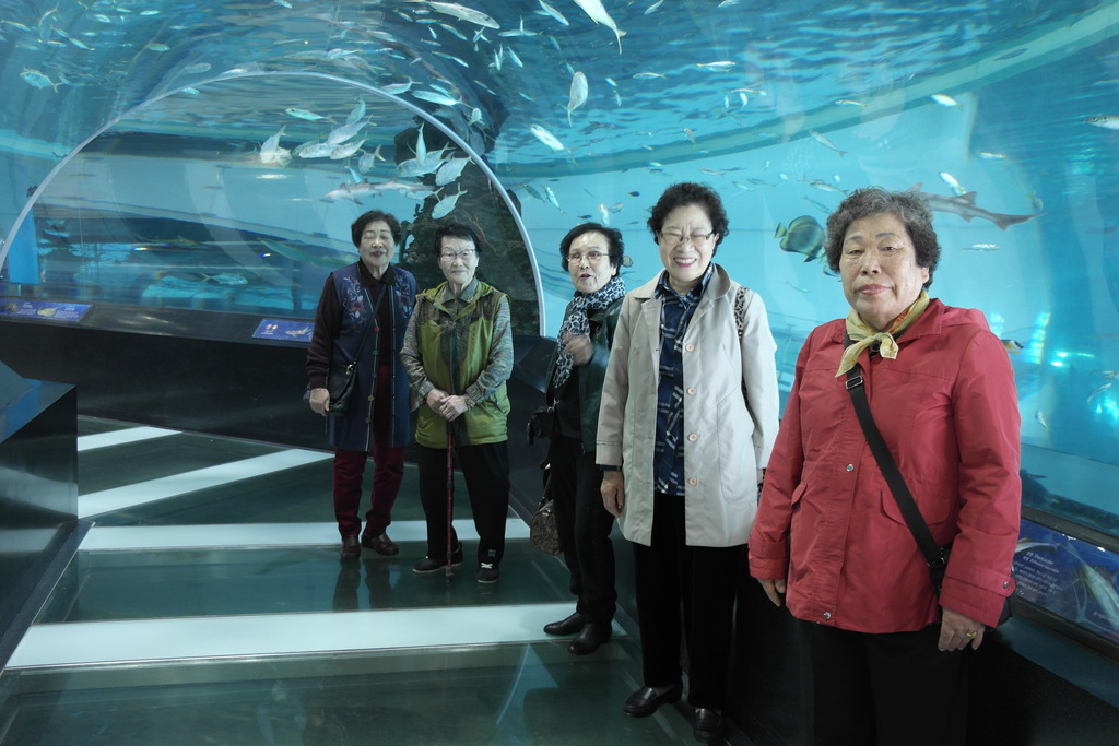 ��δ�Ȱ��ȭ���-�߿ܳ�����